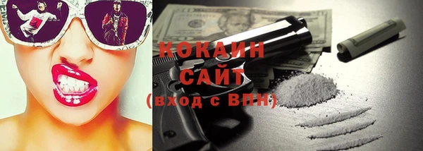 индика Абаза