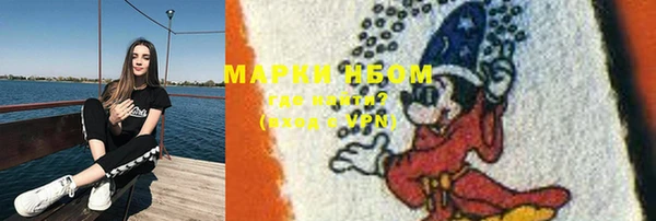 индика Абаза