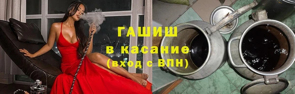 индика Абаза