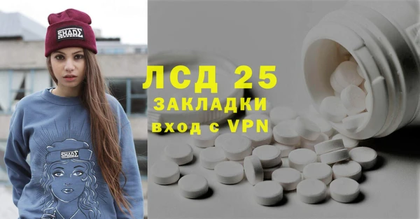 индика Абаза