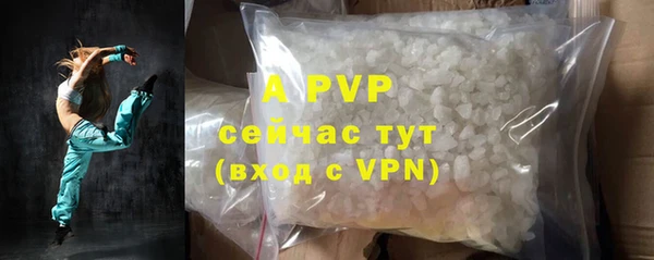 индика Абаза