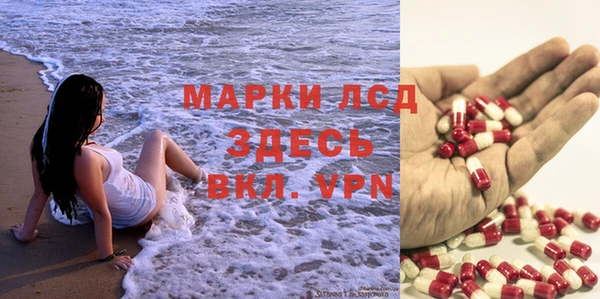 индика Абаза