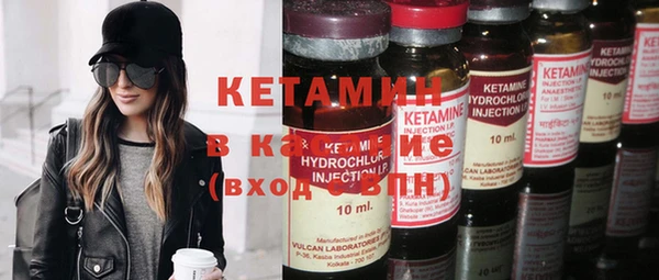 индика Абаза