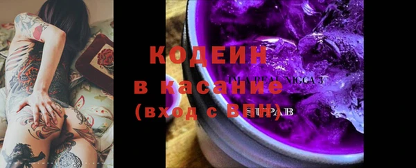 индика Абаза