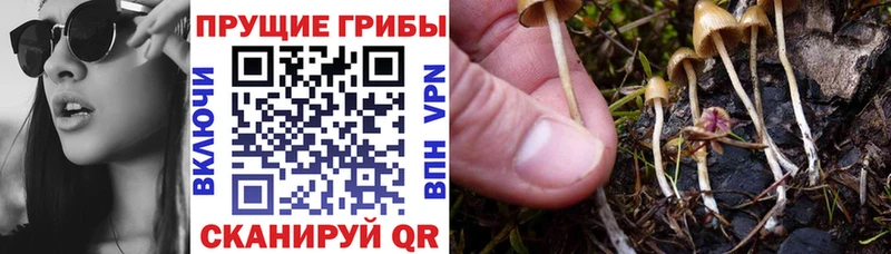 Псилоцибиновые грибы MAGIC MUSHROOMS  Миллерово 